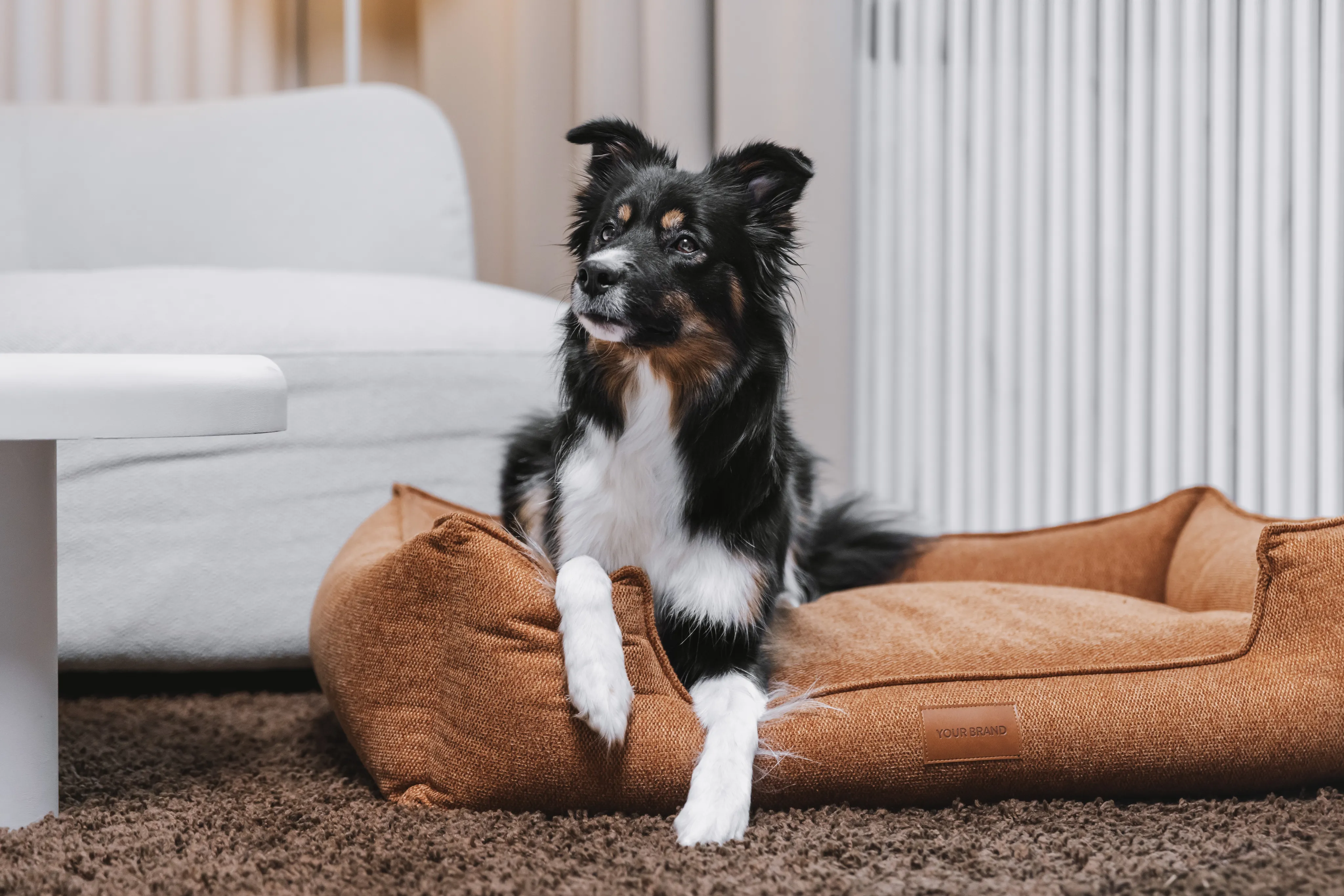 Dog sitting in an Air Balance bed with a branded tag