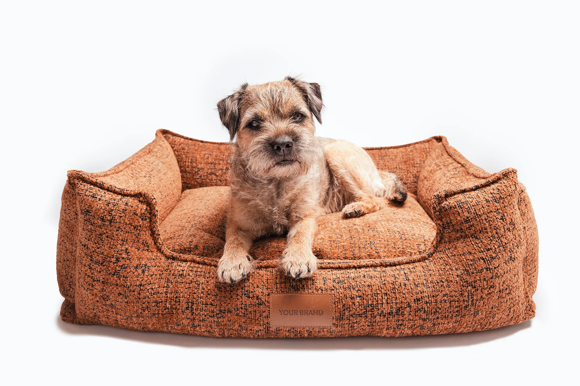 Terrier lying on an Air Balance bed