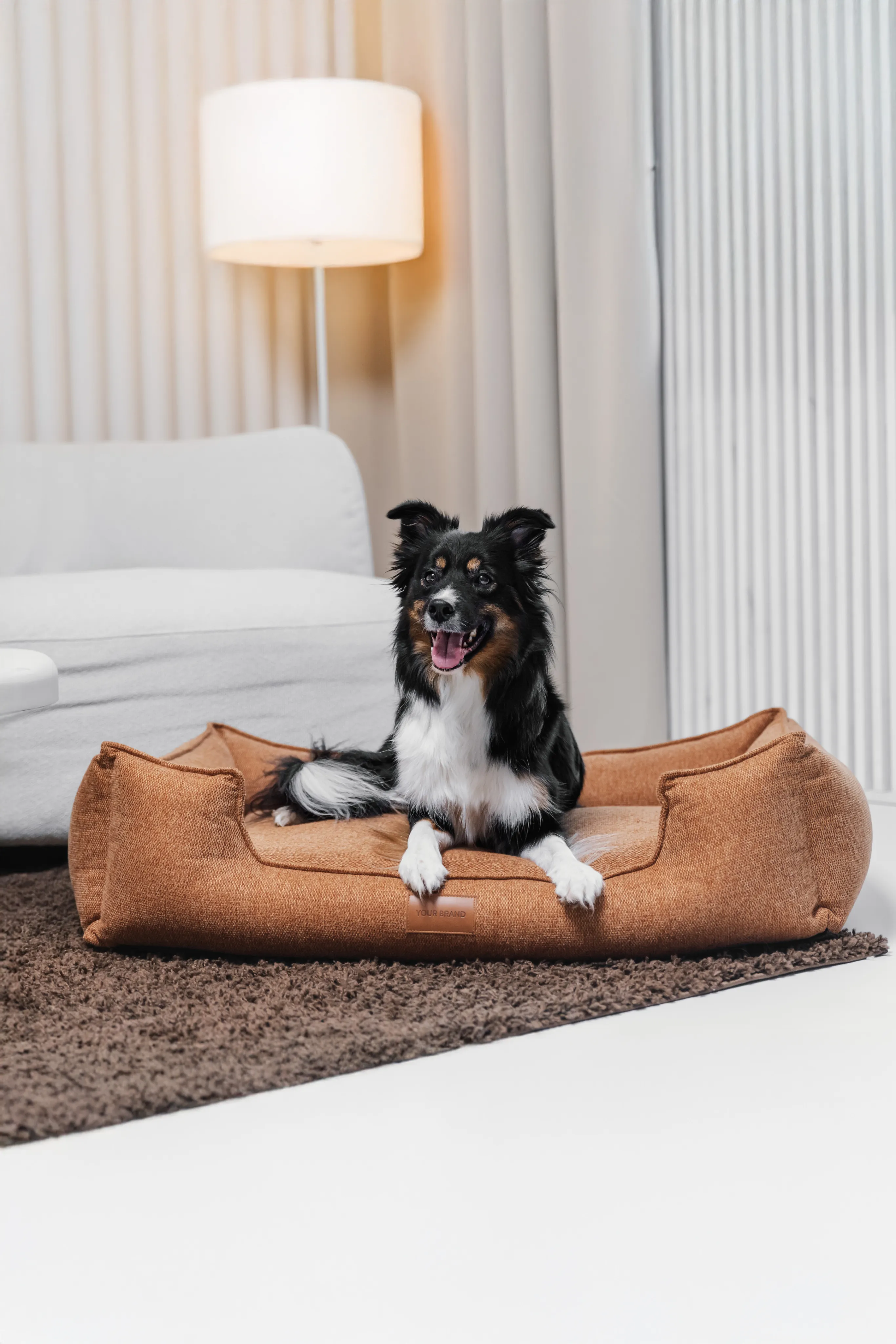 Dog lying on an Air Balance bed in a living room